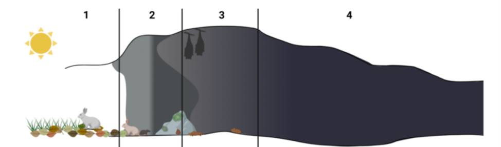 Схематическое изображение пещерных зон